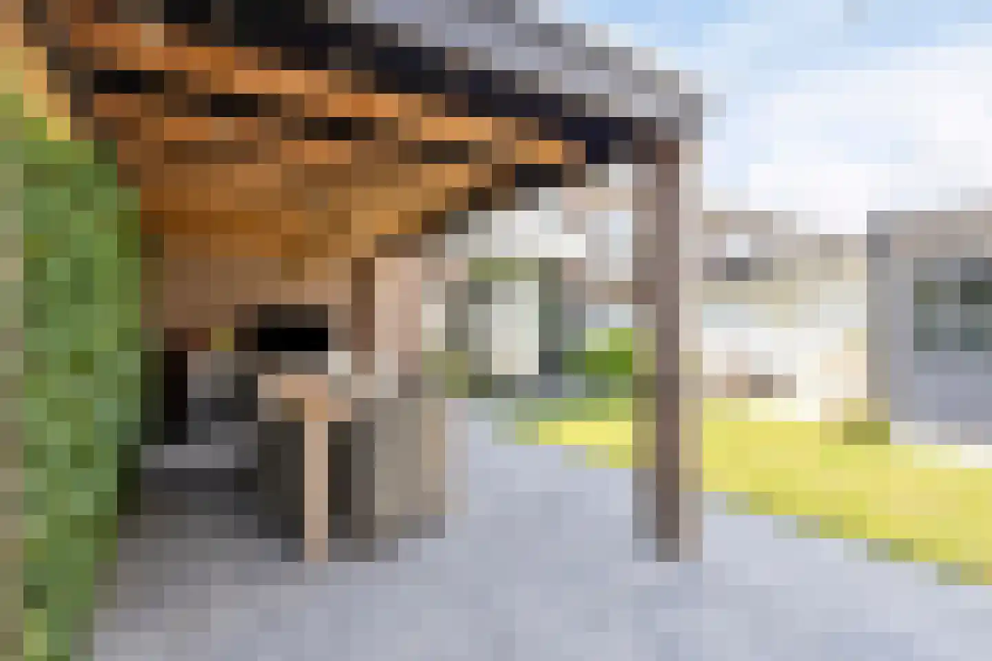 Asterstraat 2 Sint-Michielsgestel thumbnail 14