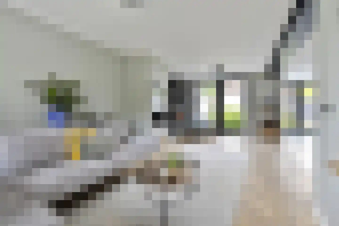 Asterstraat 2 Sint-Michielsgestel thumbnail 5