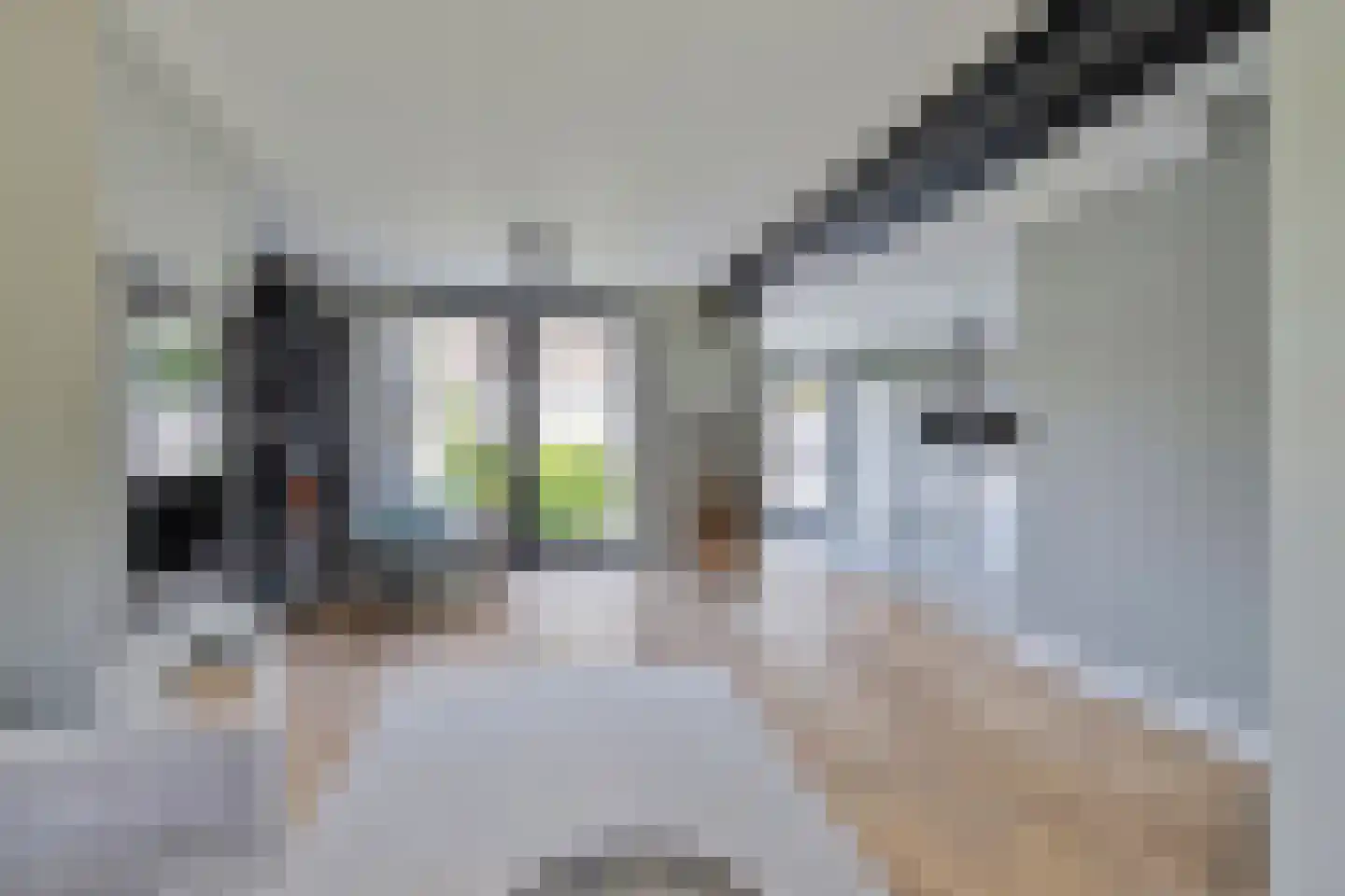 Asterstraat 2 Sint-Michielsgestel thumbnail 6