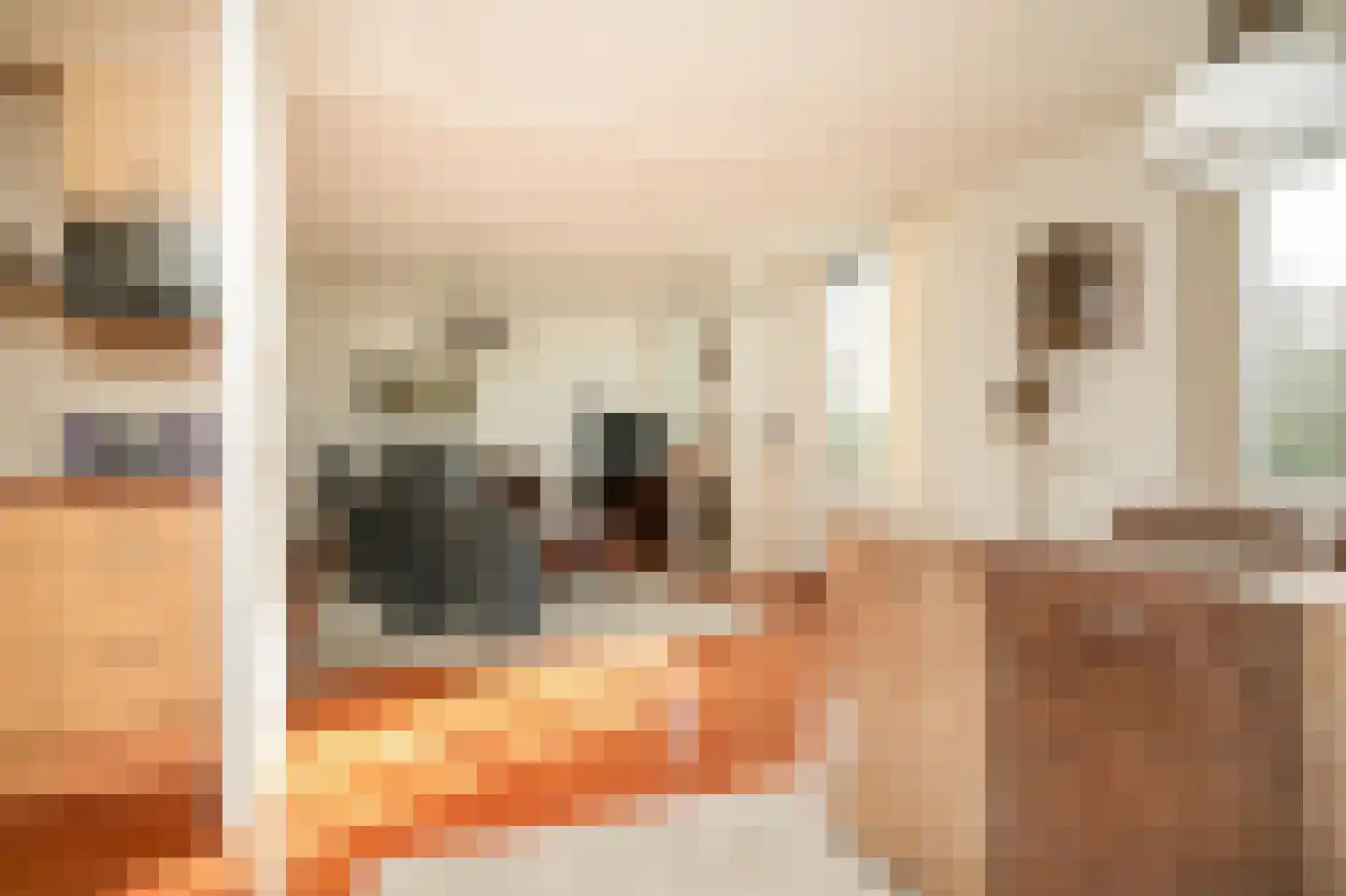 Asterstraat 20 Beneden-Leeuwen thumbnail 12