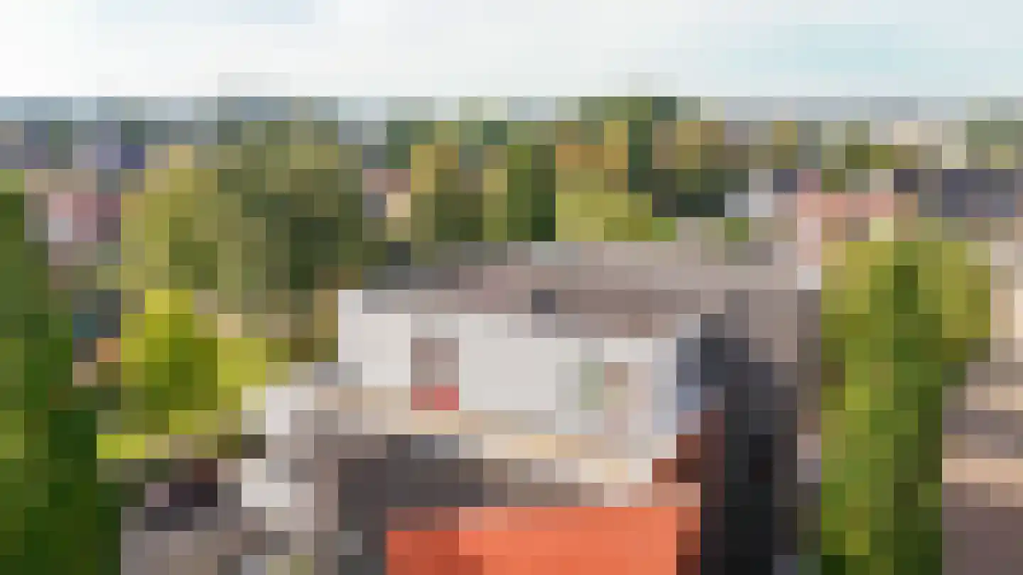 Asterstraat 20 Beneden-Leeuwen thumbnail 4