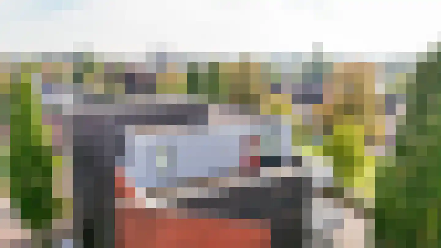 Asterstraat 20 Beneden-Leeuwen thumbnail 46