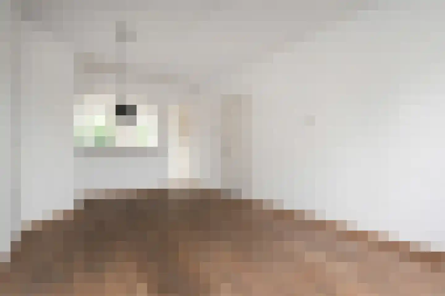 Asterstraat 20 Den Haag thumbnail 10