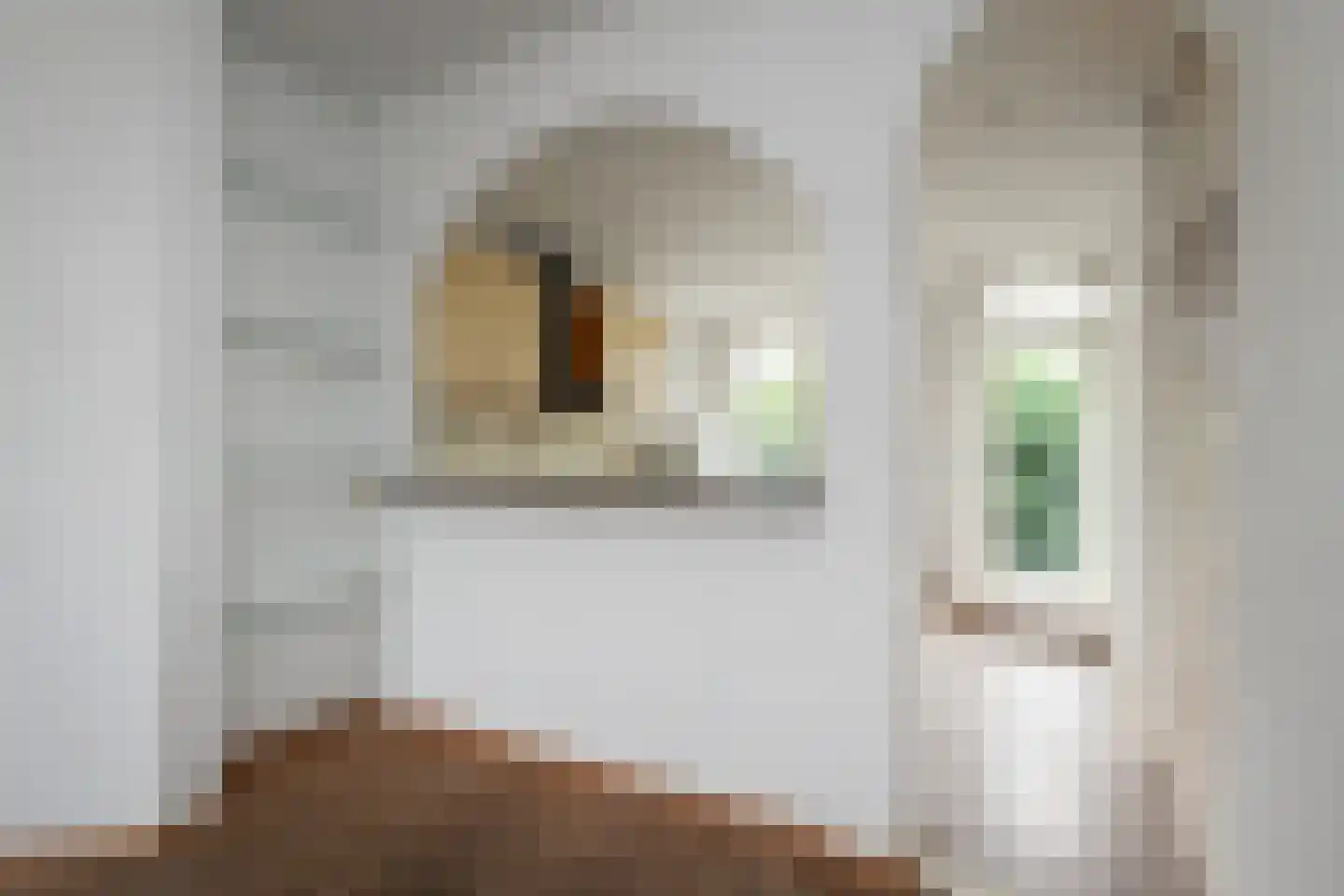 Asterstraat 20 Den Haag thumbnail 15
