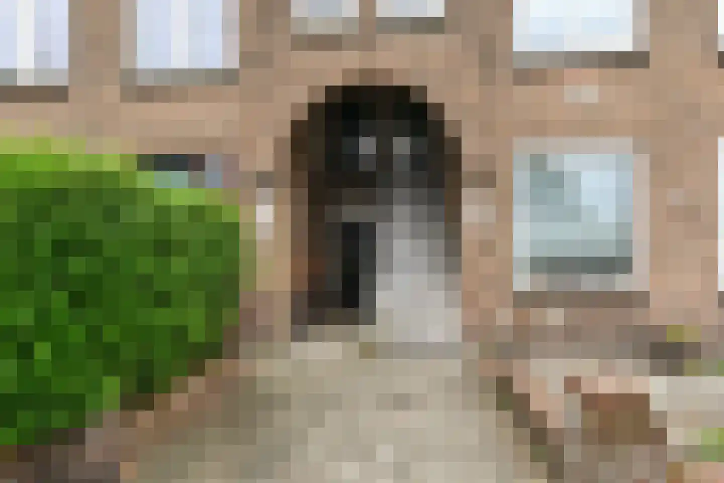 Asterstraat 20 Den Haag thumbnail 6