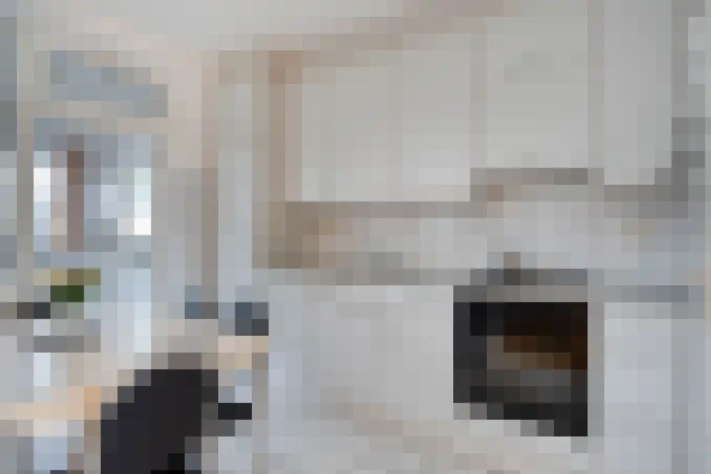 Asterstraat 20 Grubbenvorst thumbnail 13