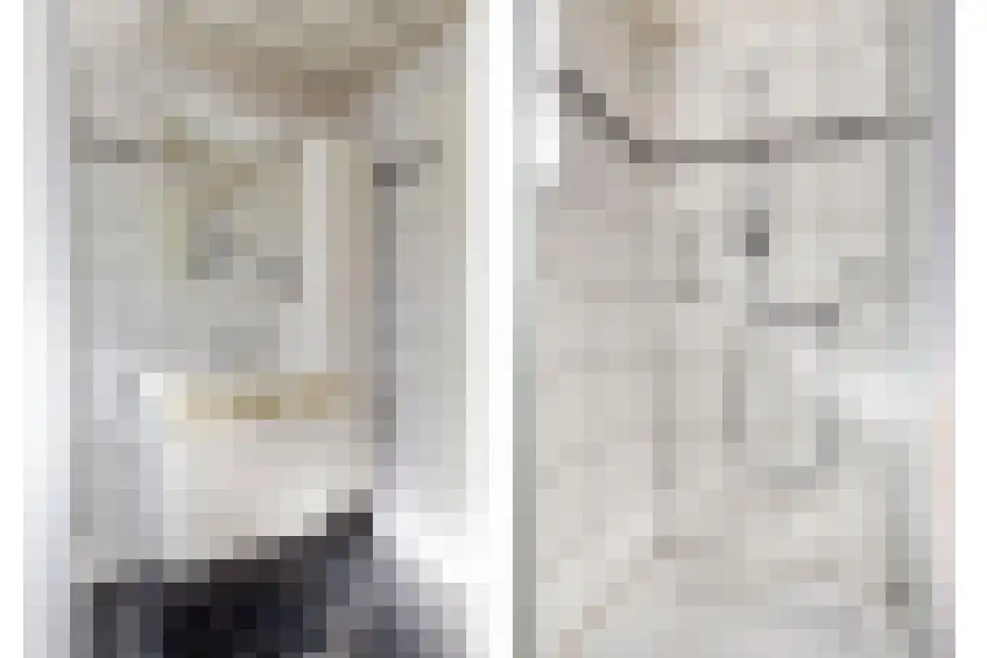 Asterstraat 20 Grubbenvorst thumbnail 18