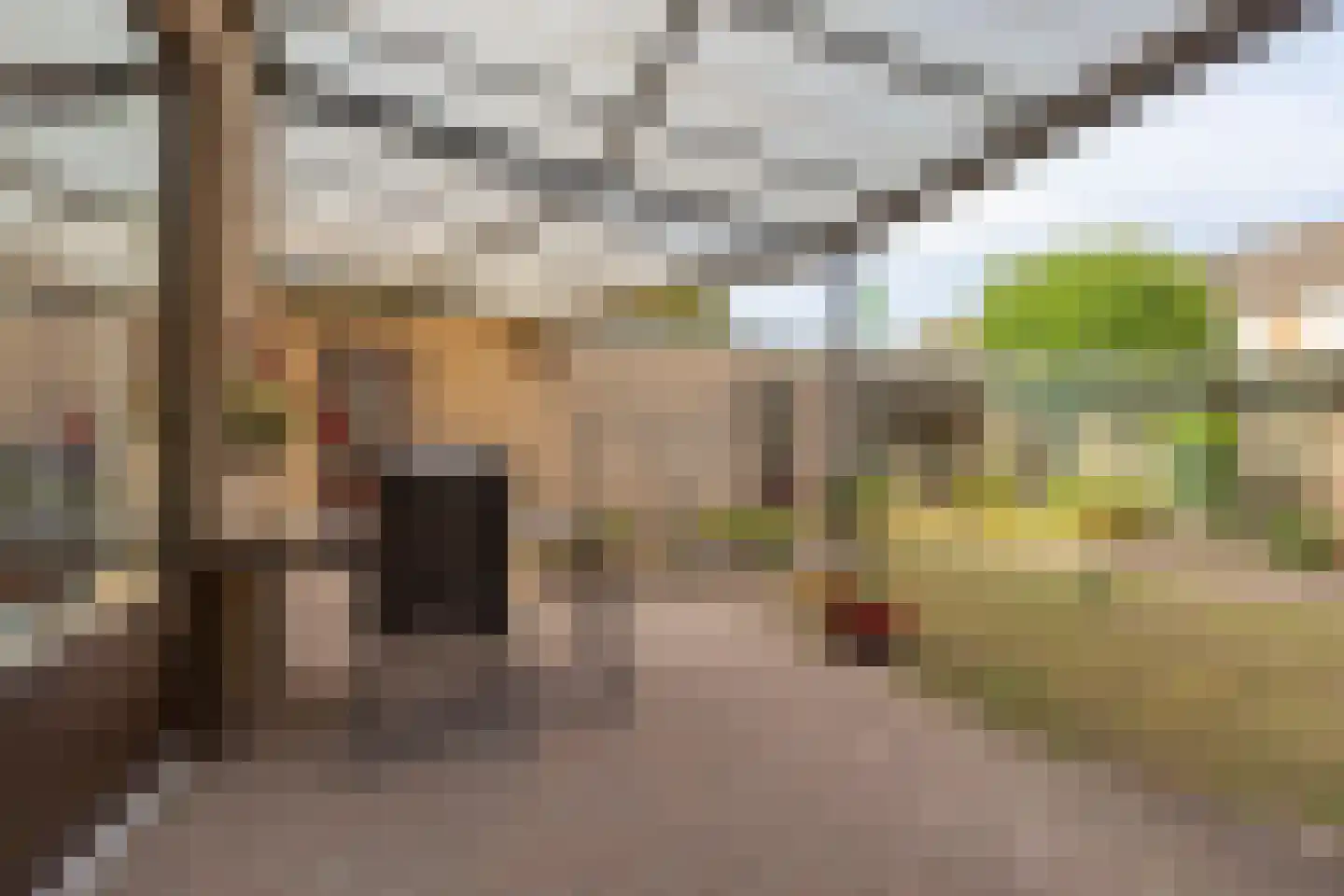 Asterstraat 20 Grubbenvorst thumbnail 26