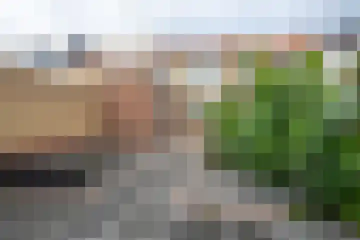 Asterstraat 23 Volendam thumbnail 30