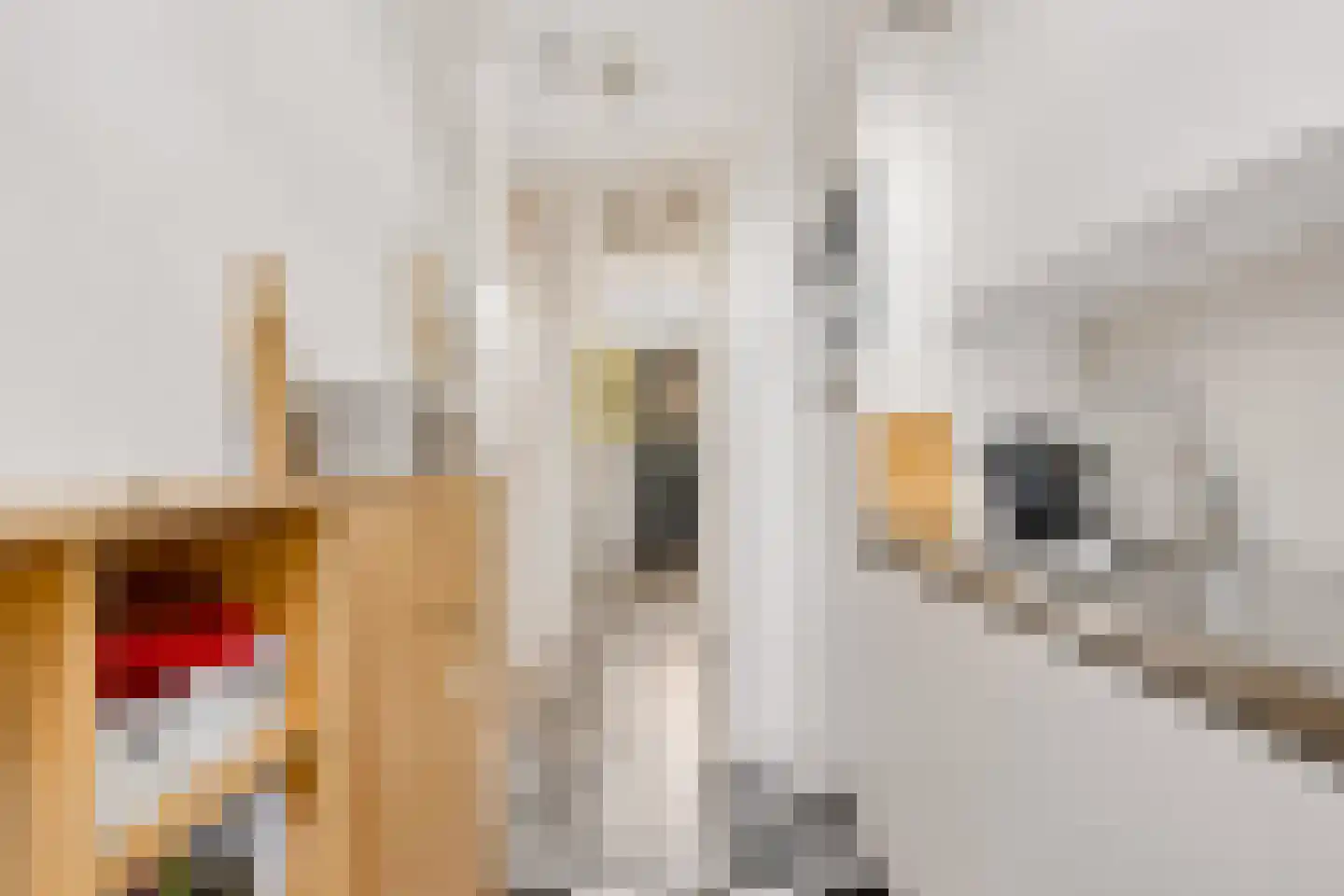 Asterstraat 23 Zwolle thumbnail 22