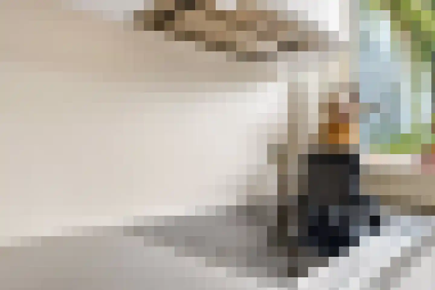 Asterstraat 23 Zwolle thumbnail 23