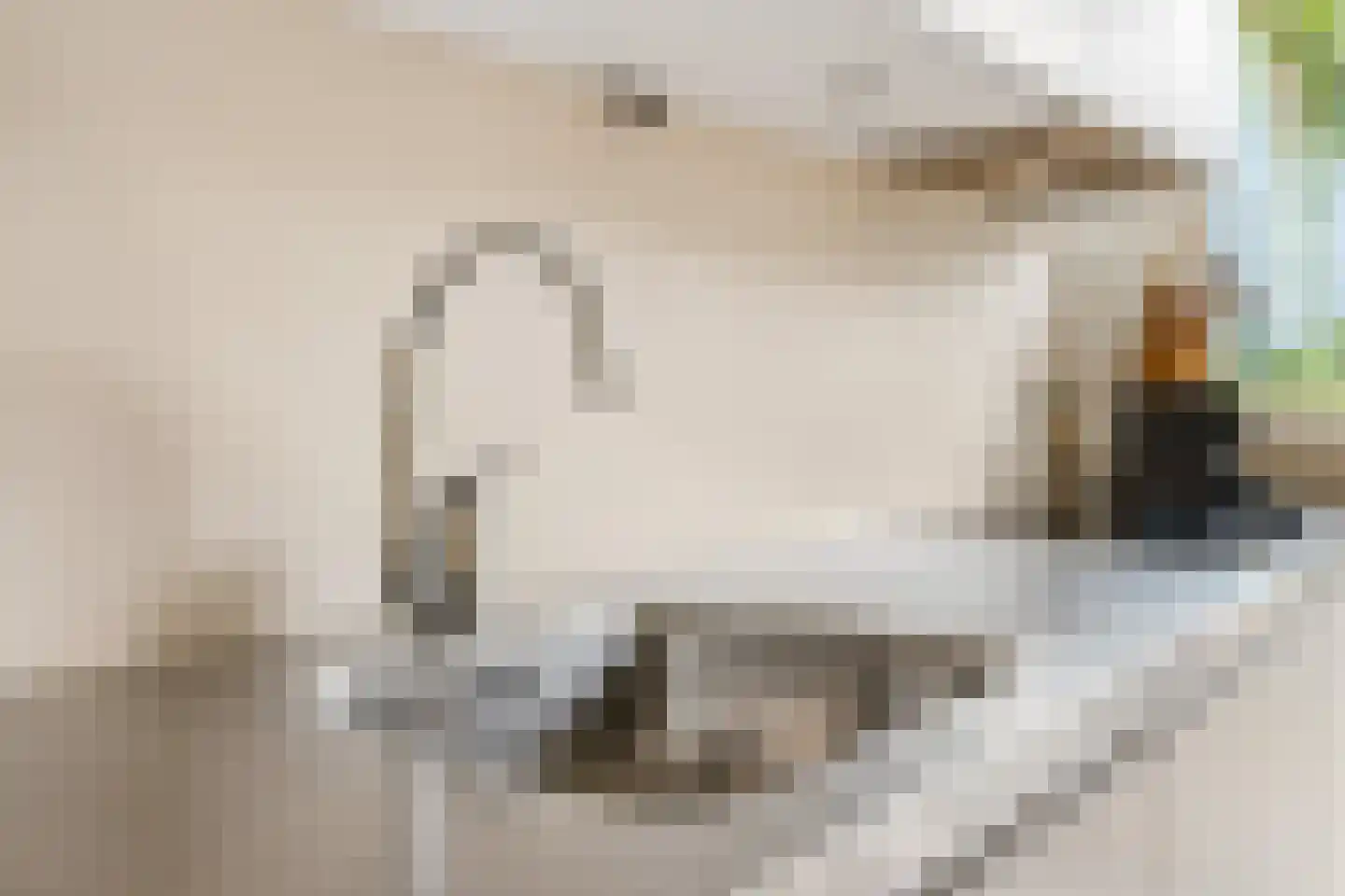 Asterstraat 23 Zwolle thumbnail 25