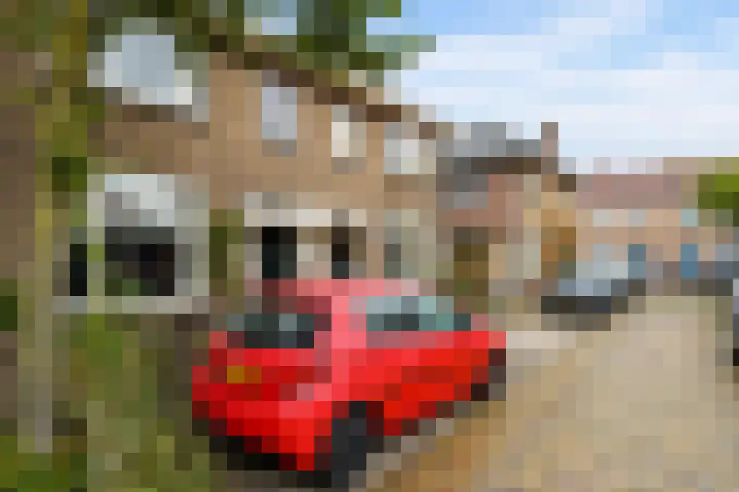 Asterstraat 23 Zwolle thumbnail 50