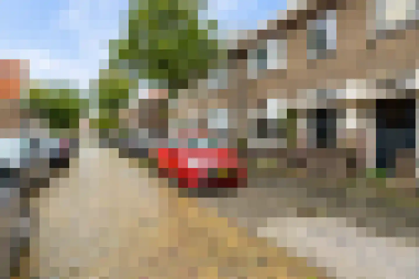 Asterstraat 23 Zwolle thumbnail 51
