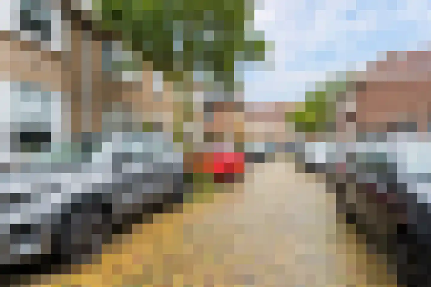 Asterstraat 23 Zwolle thumbnail 54