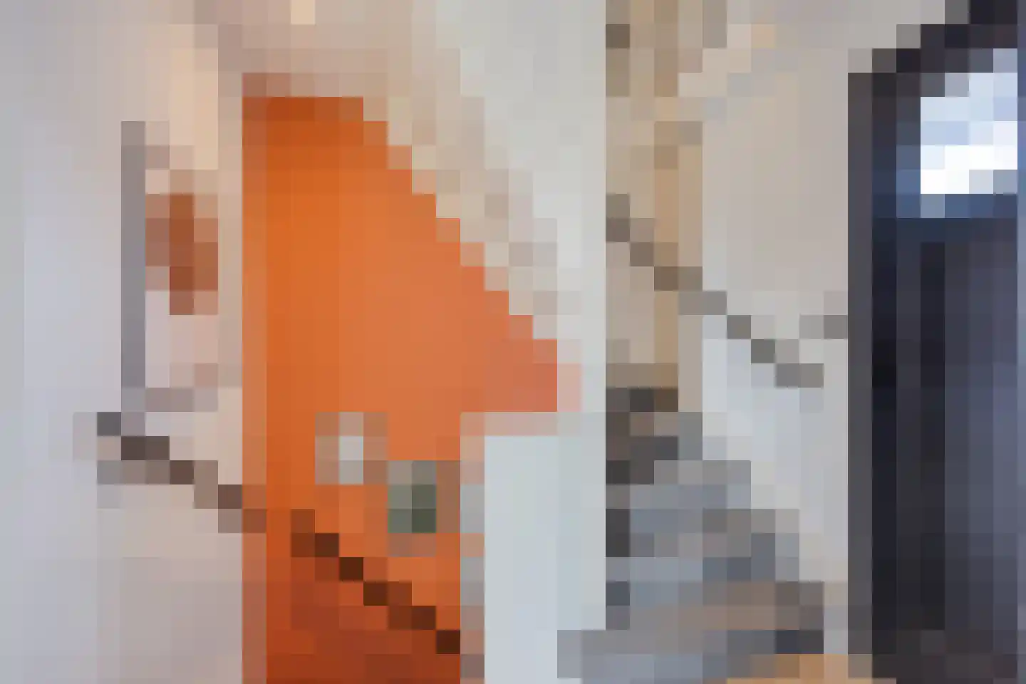 Asterstraat 24 Oud-Beijerland thumbnail 13