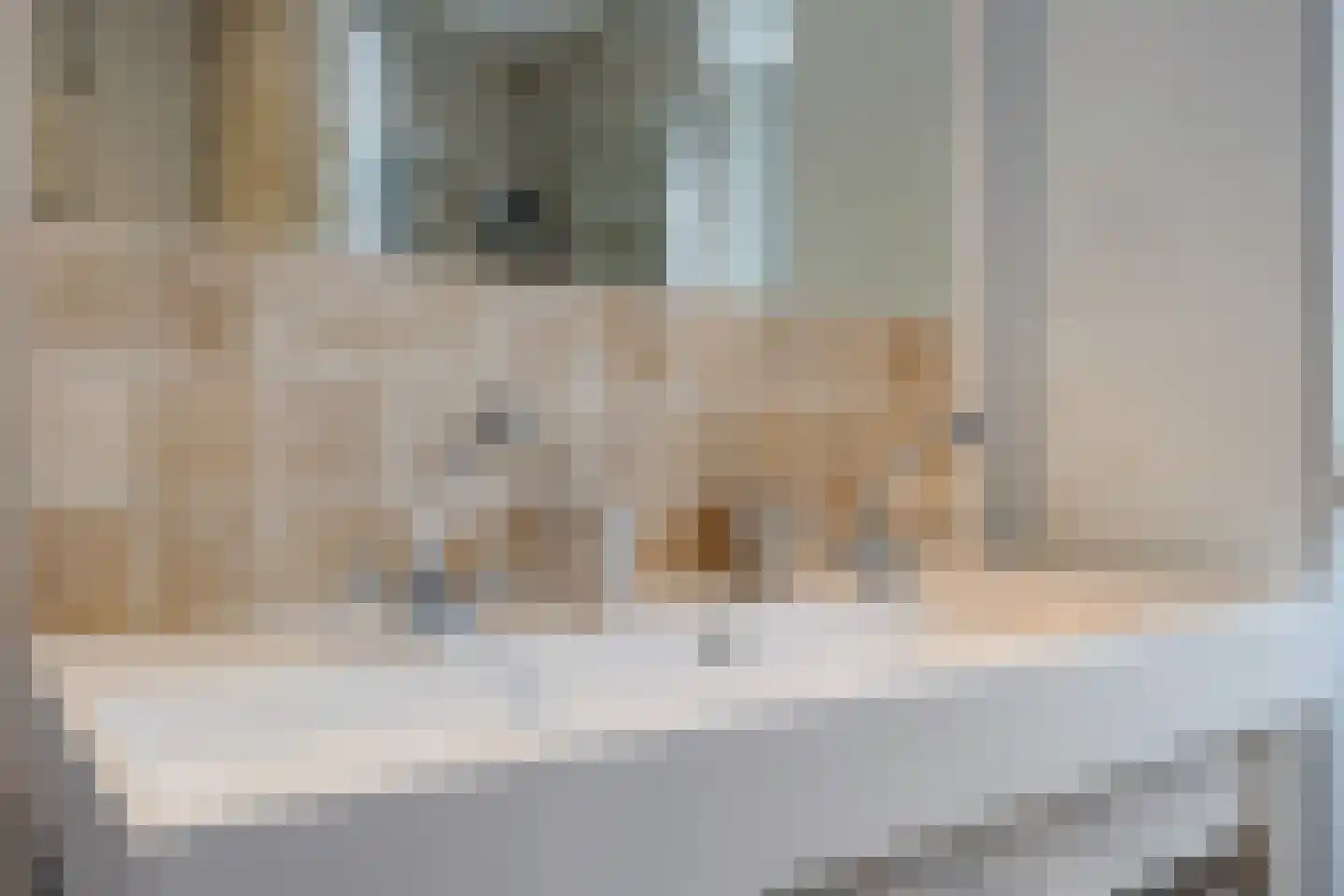Asterstraat 24 Oud-Beijerland thumbnail 19