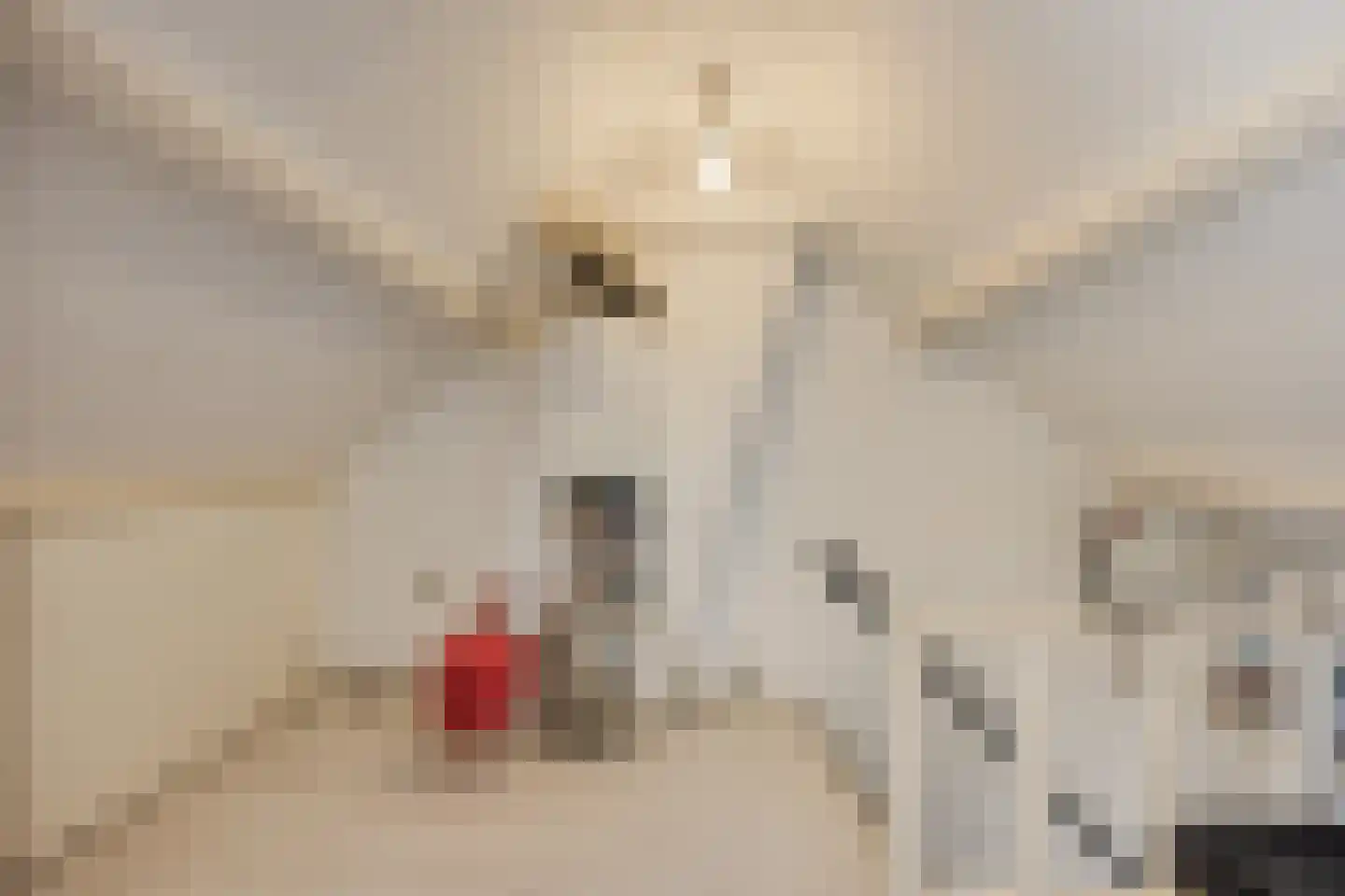 Asterstraat 24 Oud-Beijerland thumbnail 24