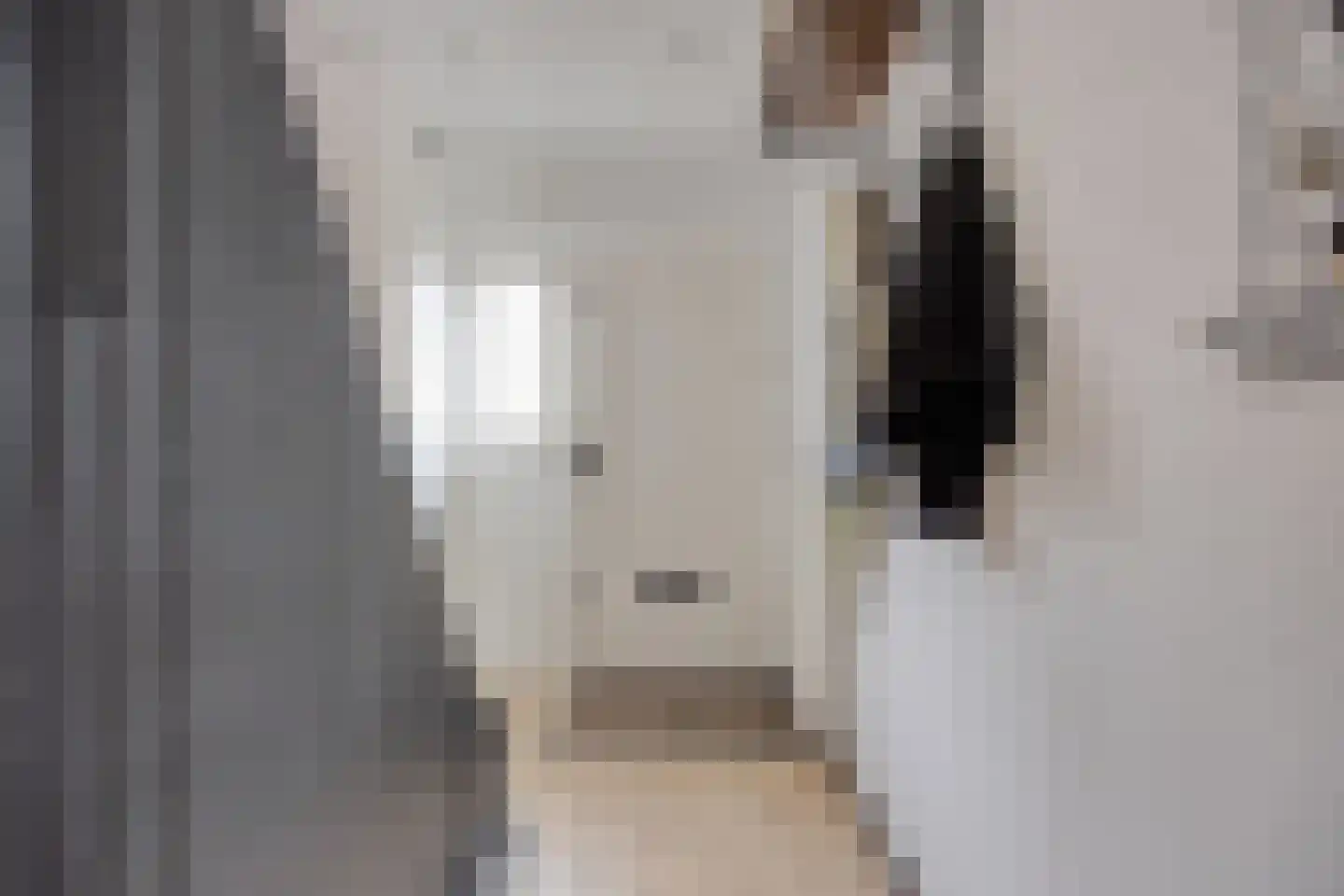 Asterstraat 24 Oud-Beijerland thumbnail 6