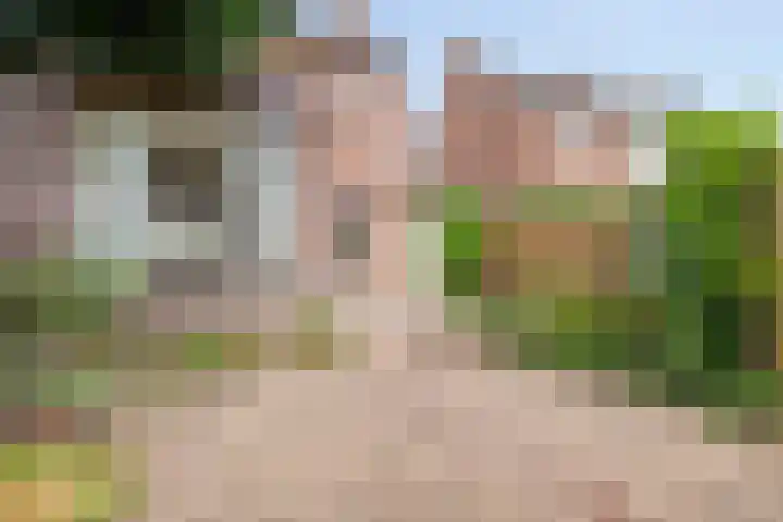 Asterstraat 25 Made thumbnail 24