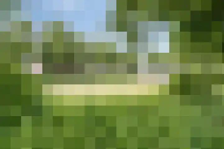Asterstraat 25 Made thumbnail 28