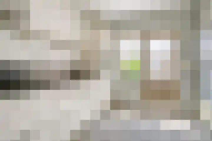 Asterstraat 25 Made thumbnail 9