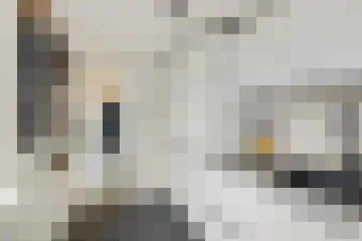 Asterstraat 25 Utrecht thumbnail 18