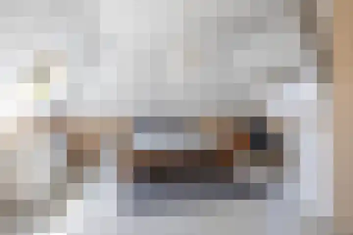 Asterstraat 25 Utrecht thumbnail 21