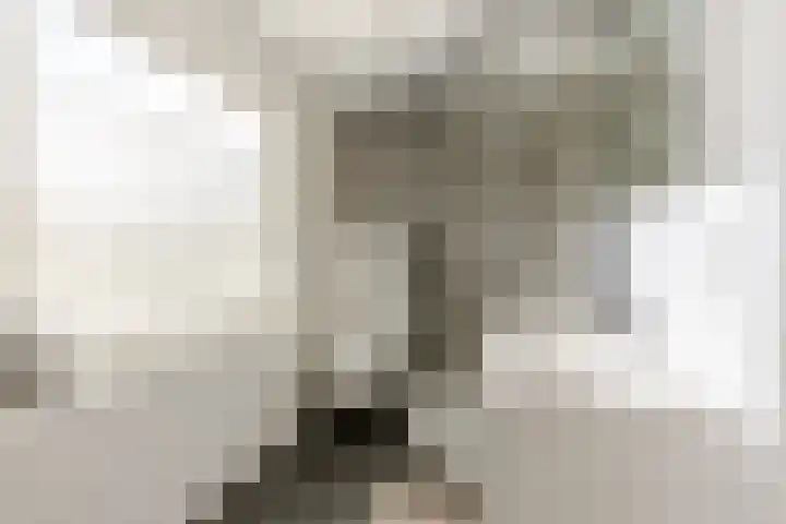 Asterstraat 25 Utrecht thumbnail 51