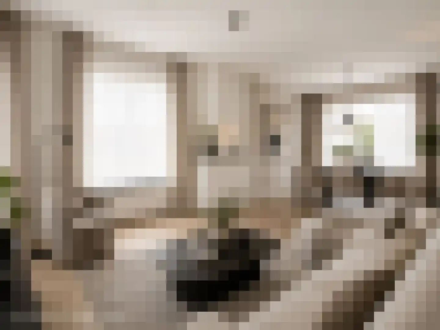 Asterstraat 27 Dedemsvaart thumbnail 10
