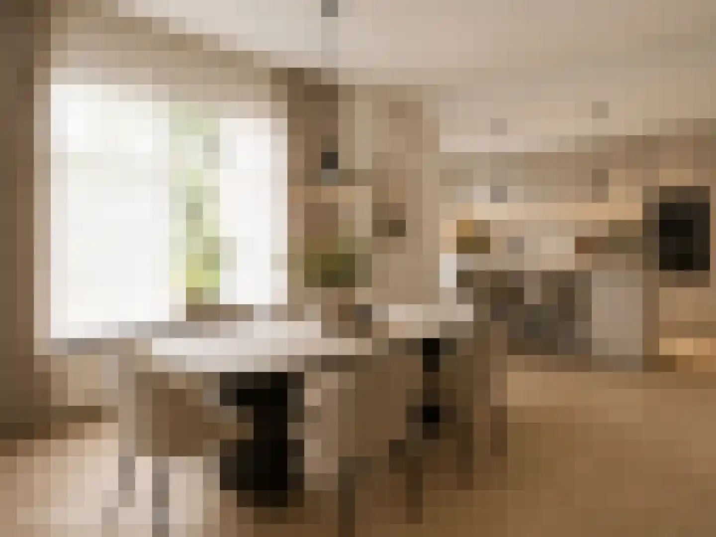 Asterstraat 27 Dedemsvaart thumbnail 12