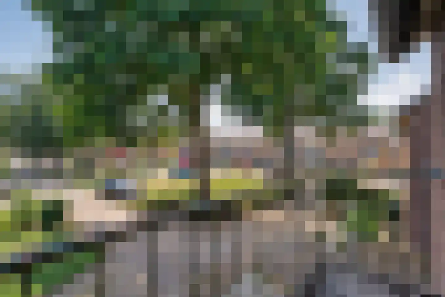Asterstraat 27 Dedemsvaart thumbnail 23