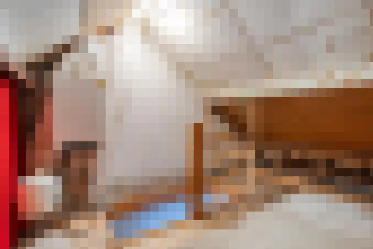 Asterstraat 27 Dedemsvaart thumbnail 29