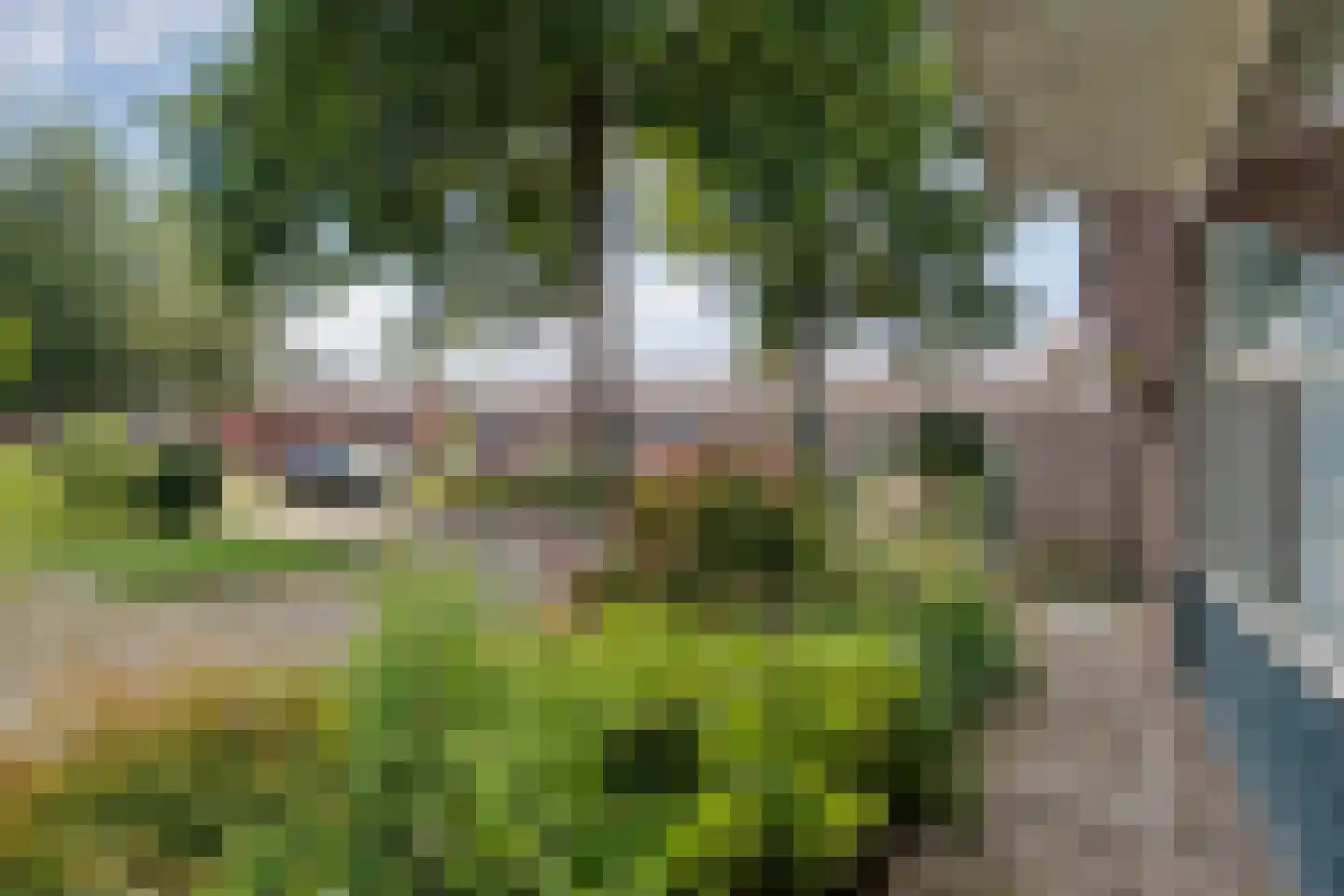 Asterstraat 27 Dedemsvaart thumbnail 5