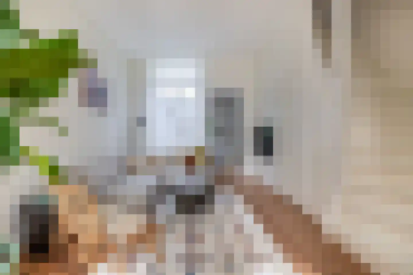 Asterstraat 27 Utrecht thumbnail 12