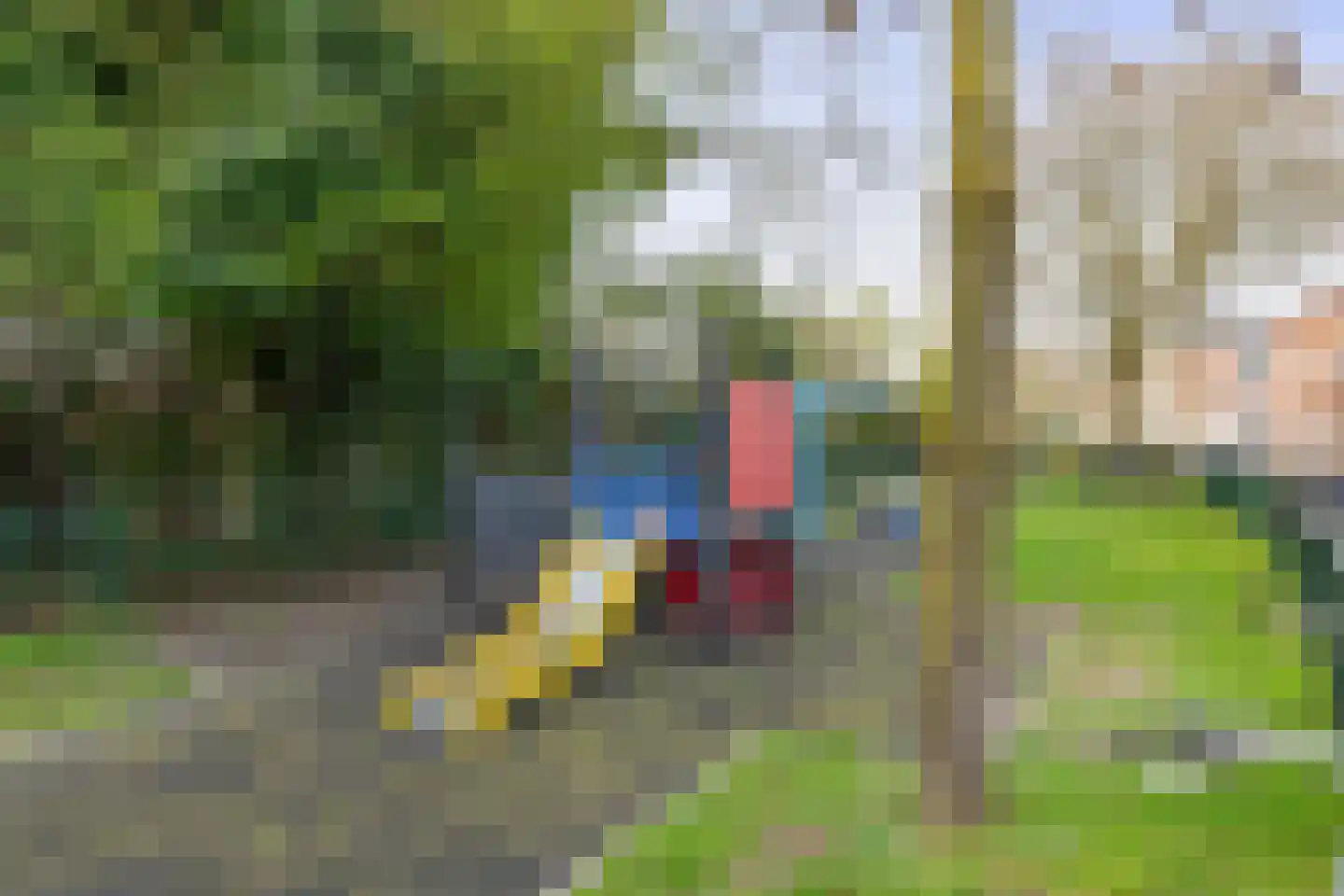 Asterstraat 27 Utrecht thumbnail 36