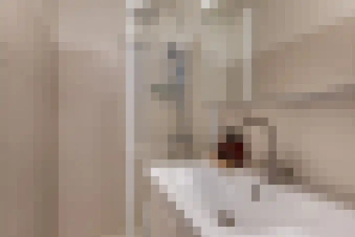 Asterstraat 27 Utrecht thumbnail 4