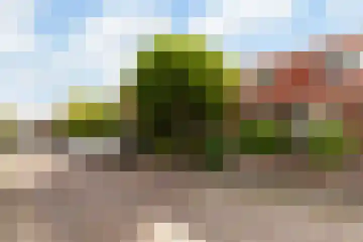 Asterstraat 27 Vlaardingen thumbnail 4