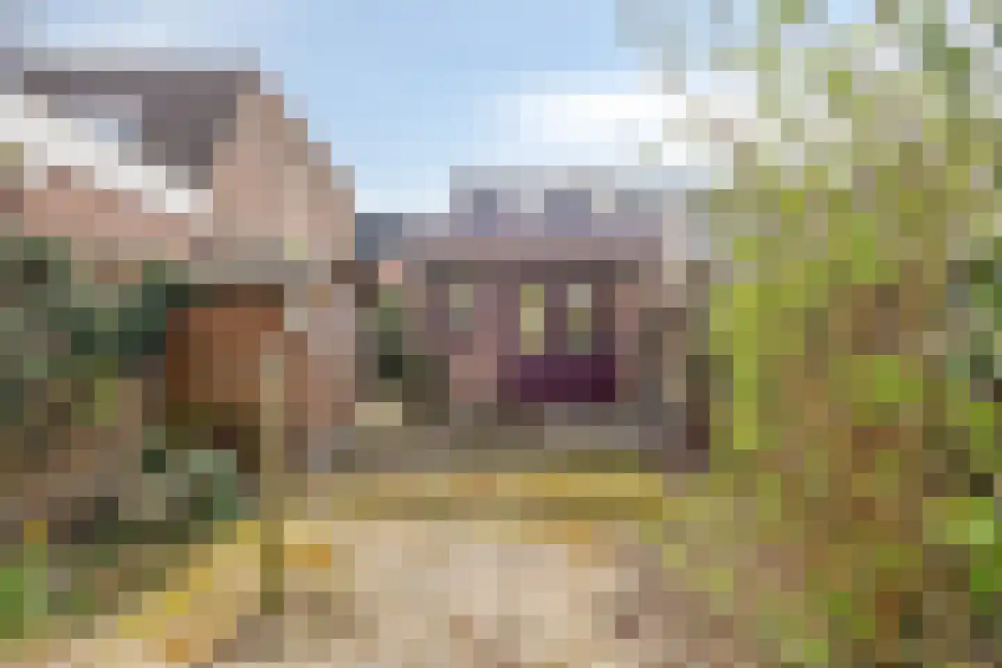 Asterstraat 29 Bergen op Zoom thumbnail 28