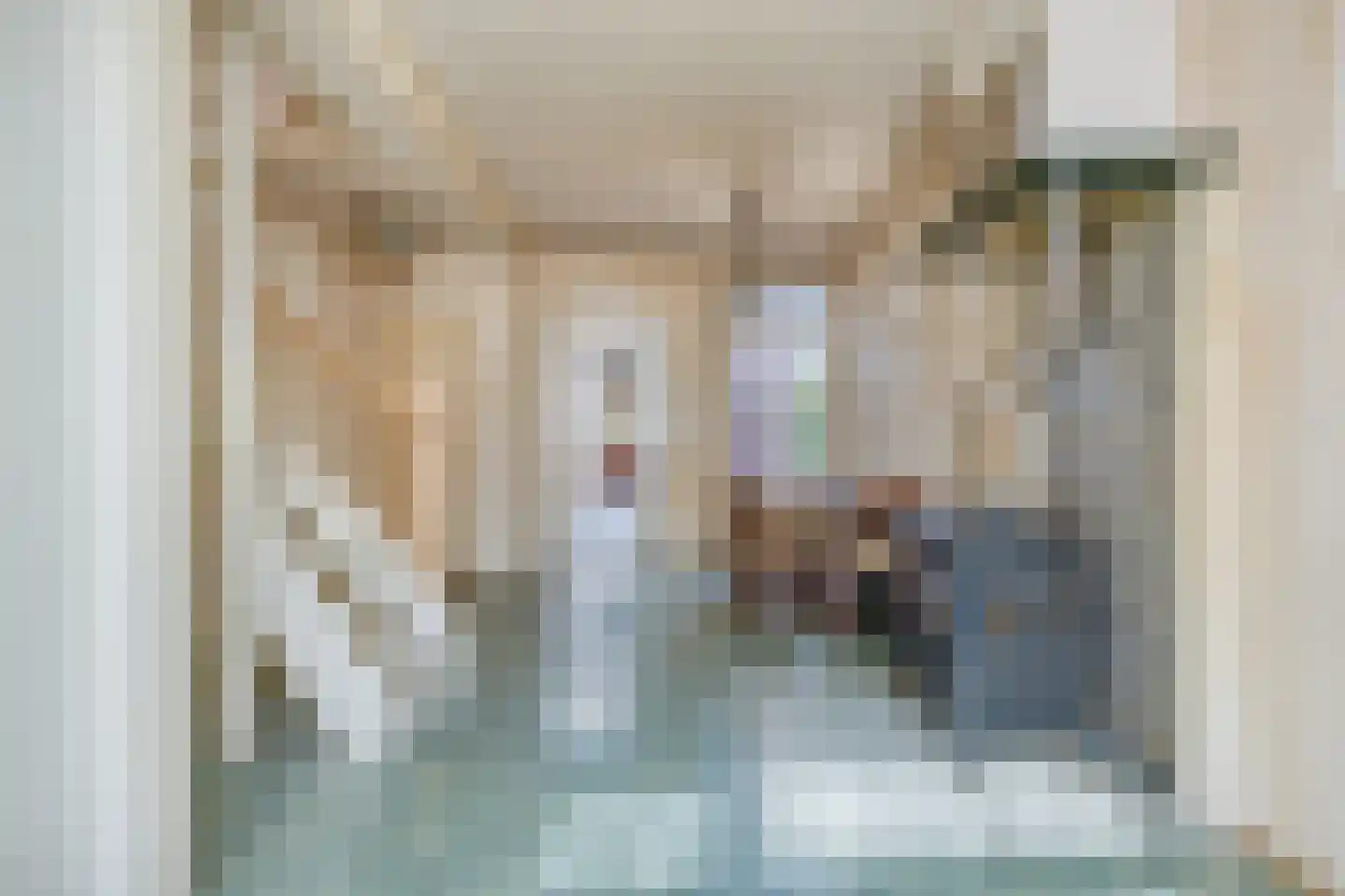 Asterstraat 29 Bergen op Zoom thumbnail 6