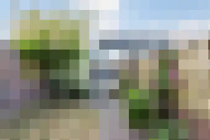 Asterstraat 30 Bergen op Zoom thumbnail 35
