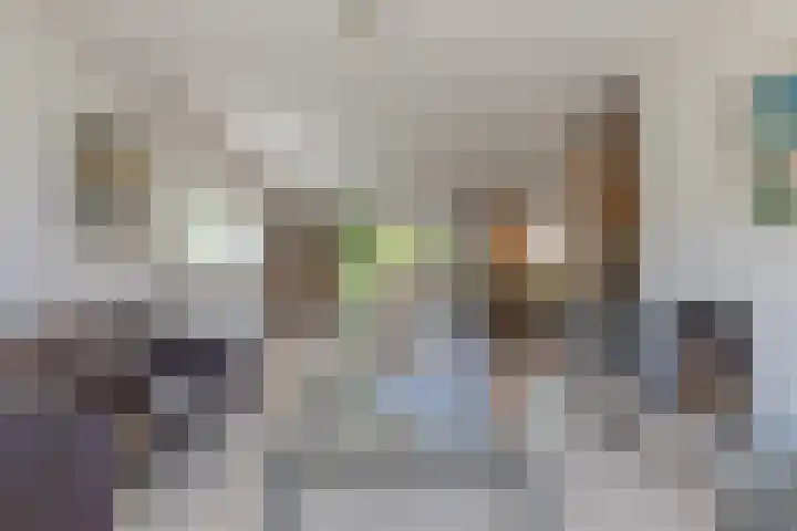 Asterstraat 30 Wierden thumbnail 31