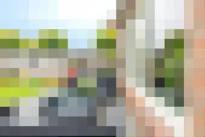 Asterstraat 30 Wierden thumbnail 42