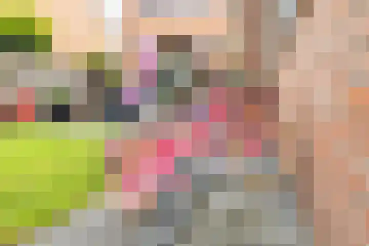 Asterstraat 30 Wierden thumbnail 49