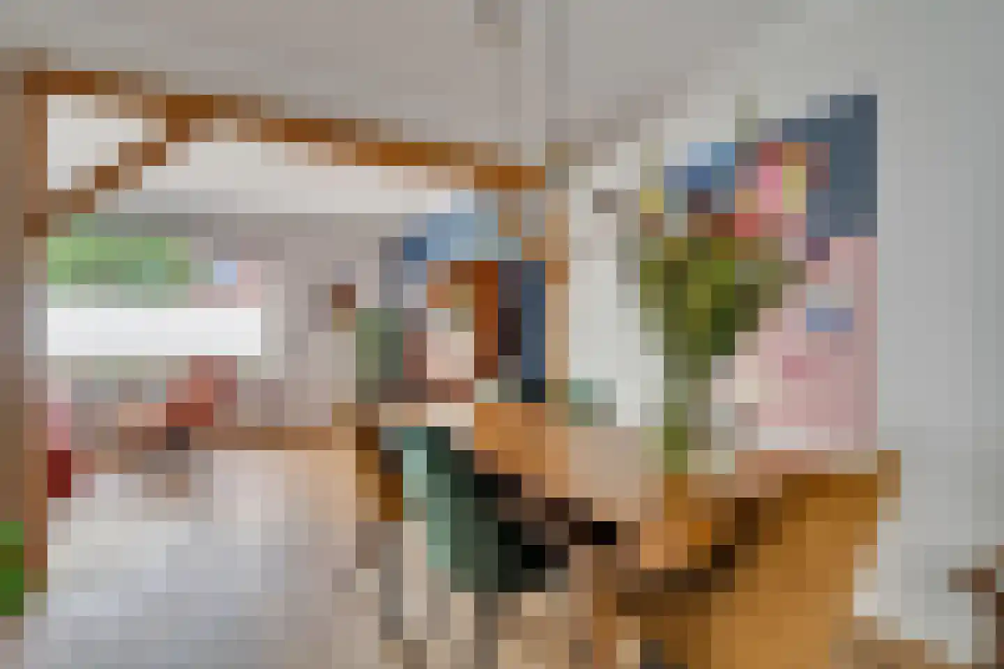 Asterstraat 31 Wierden thumbnail 10