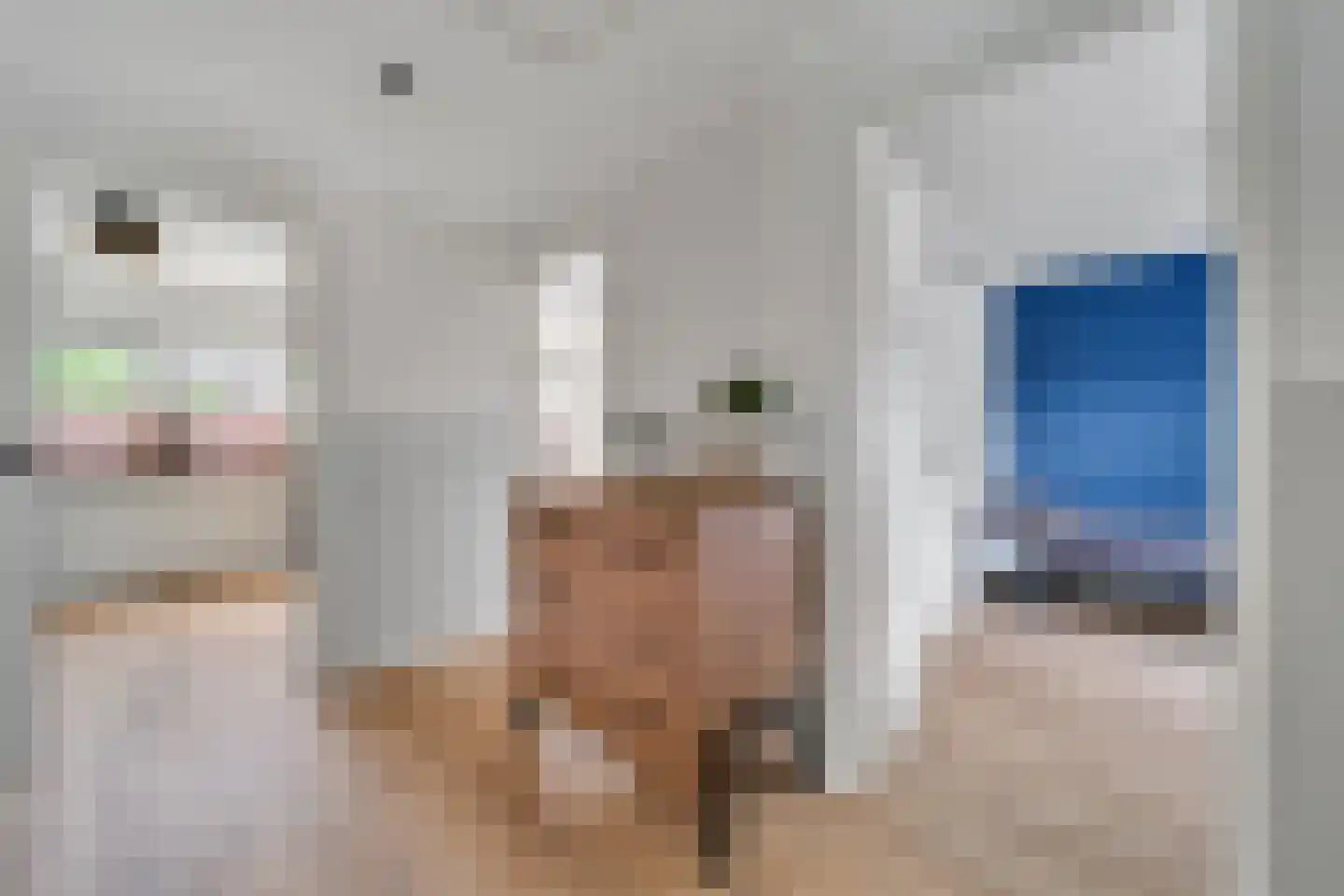Asterstraat 31 Wierden thumbnail 26
