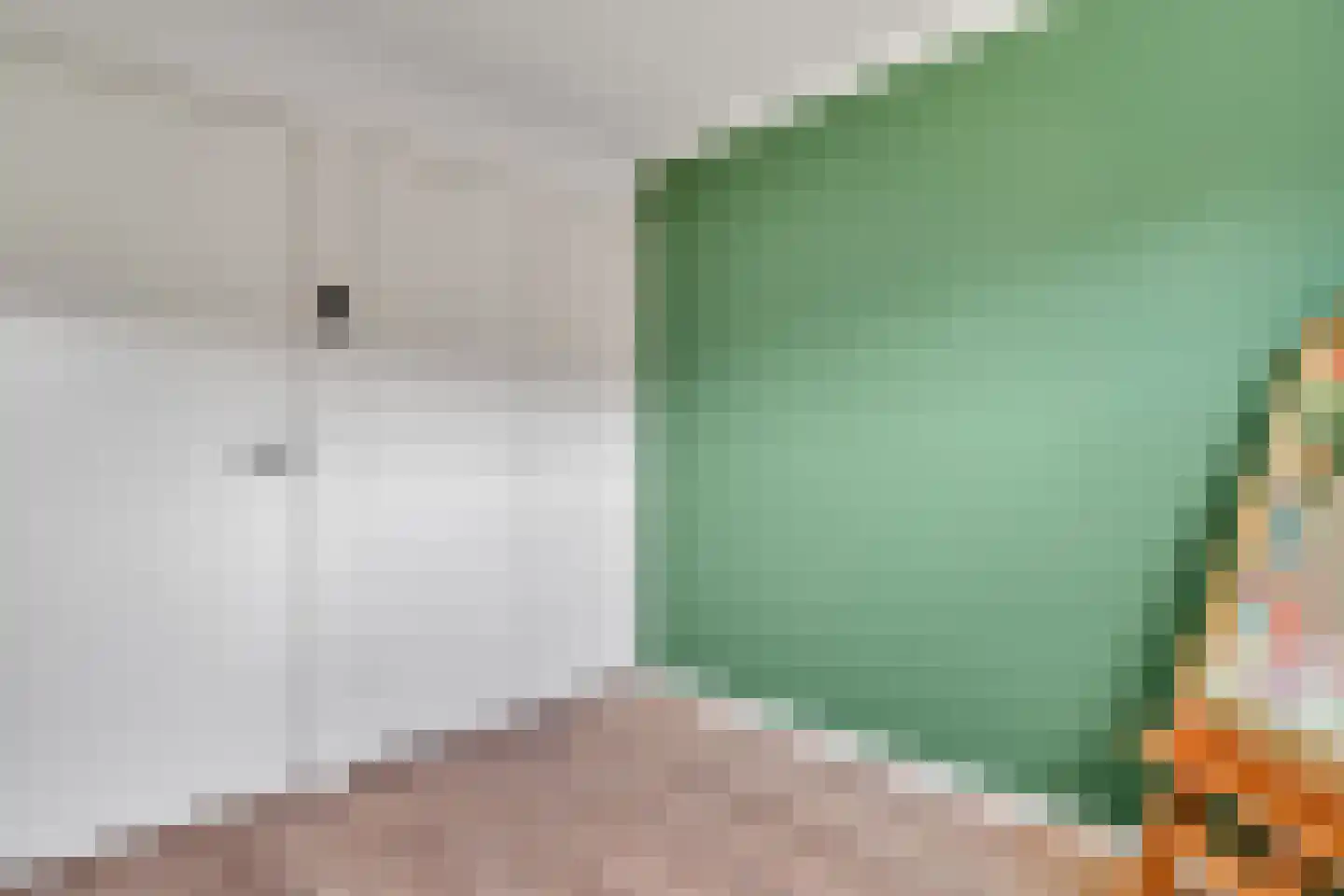 Asterstraat 31 Wierden thumbnail 29