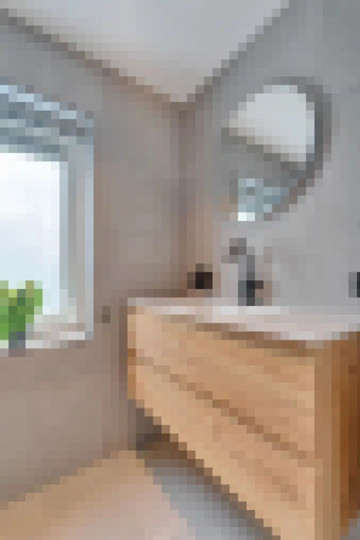 Asterstraat 31 Wierden thumbnail 33
