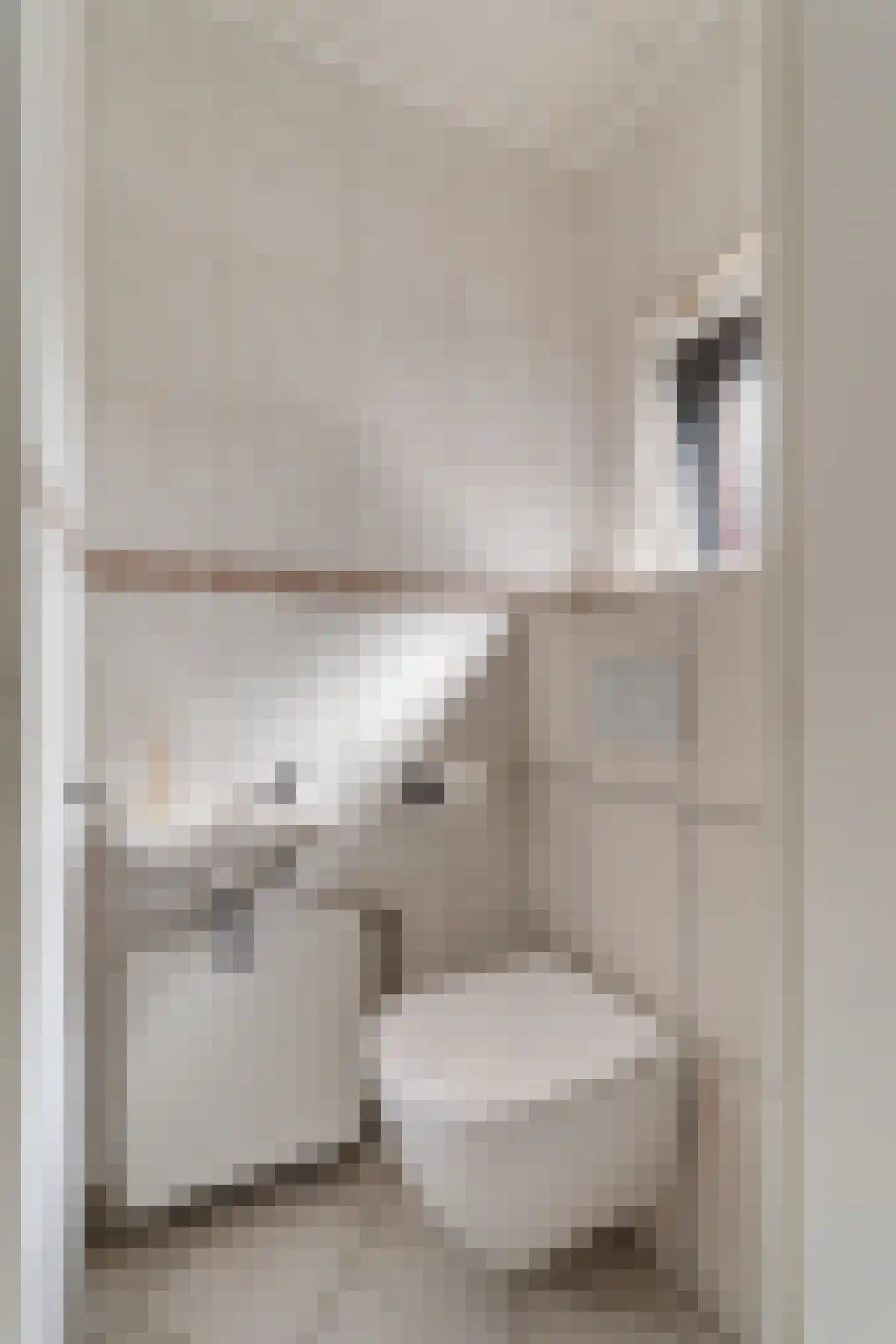 Asterstraat 31 Wierden thumbnail 34