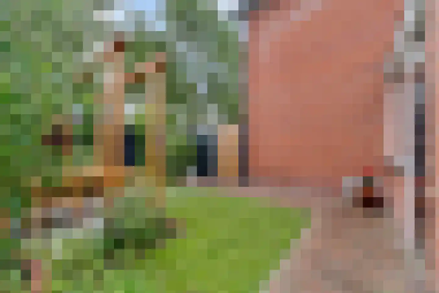 Asterstraat 31 Wierden thumbnail 37
